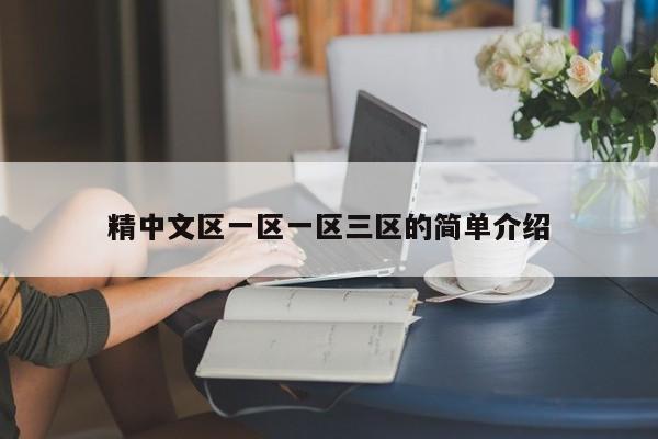 精中文区一区一区三区的简单介绍